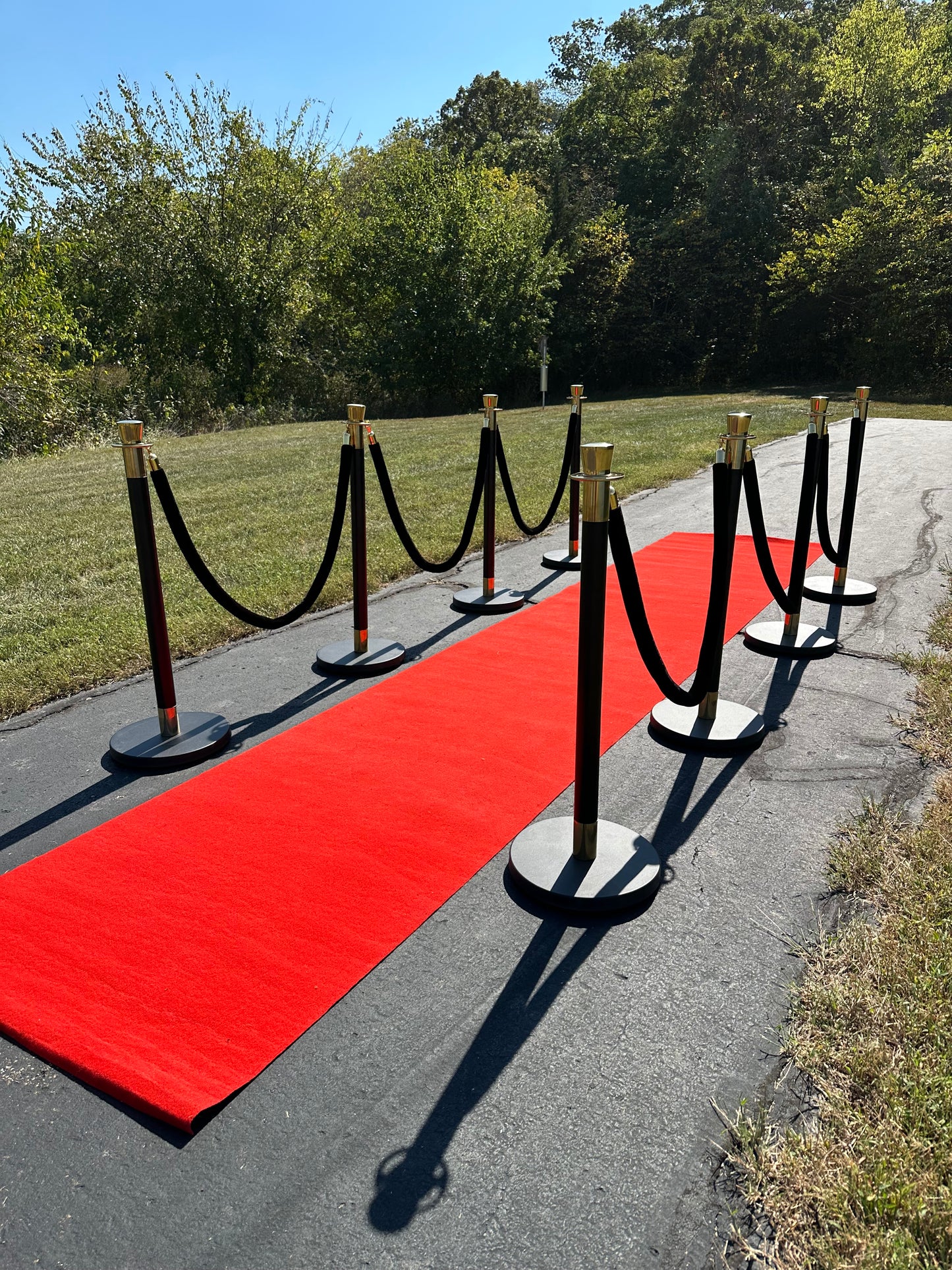 🚨 Stanchions & Red Carpet Rental