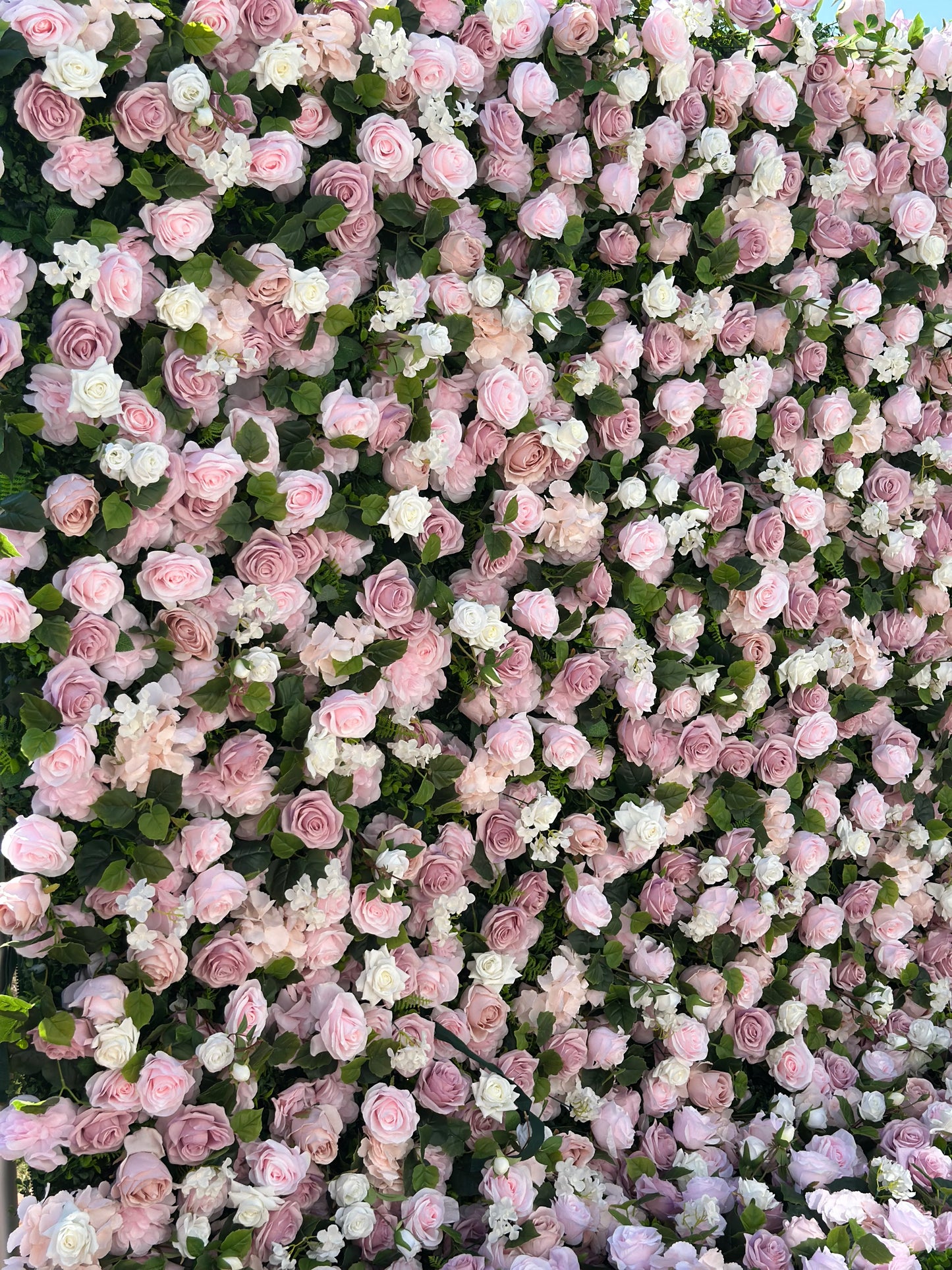 🌸 Flower Wall Rental