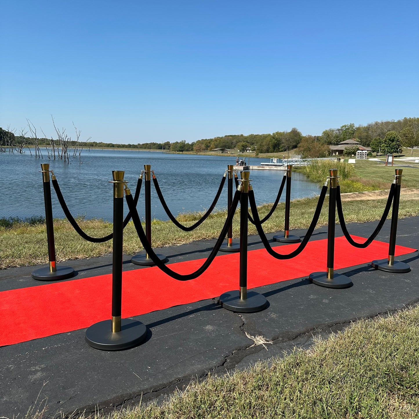 🚨 Stanchions & Red Carpet Rental
