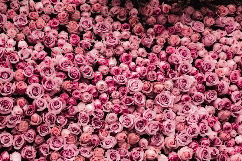 🌸 Flower Wall Rental