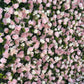 🌸 Flower Wall Rental