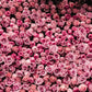 🌸 Flower Wall Rental