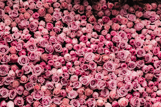 🌸 Flower Wall Rental